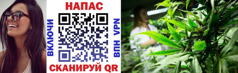 Бошки Шишки семена  Темников 